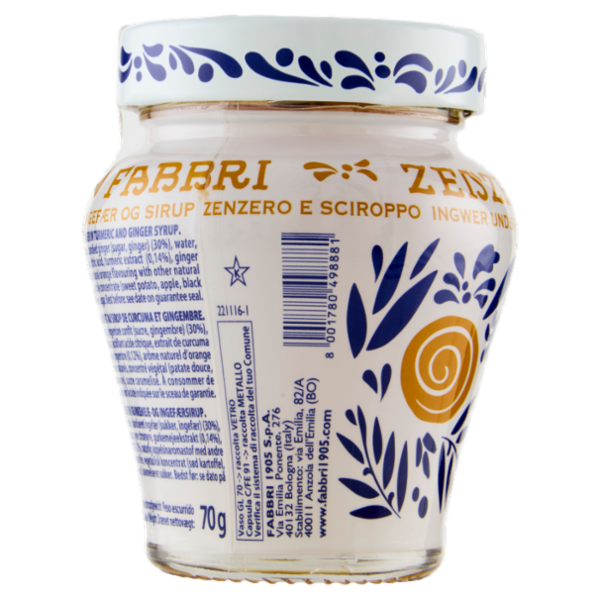 Zenzero Fabbri Zenzero e Sciroppo 230 g