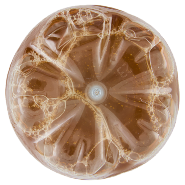 Estathé pesca 1,5 L