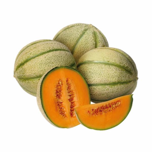 Meloni Retati Italia