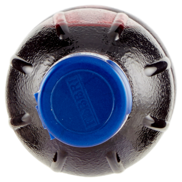 Fabbri MixyBar Fiori e Bacche di Sambuco 1 L