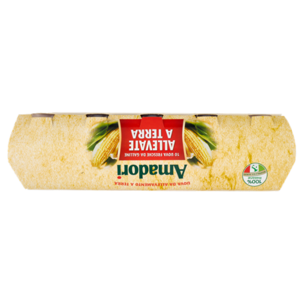 Amadori 10 Uova Fresche da Galline Allevate a Terra 550 g