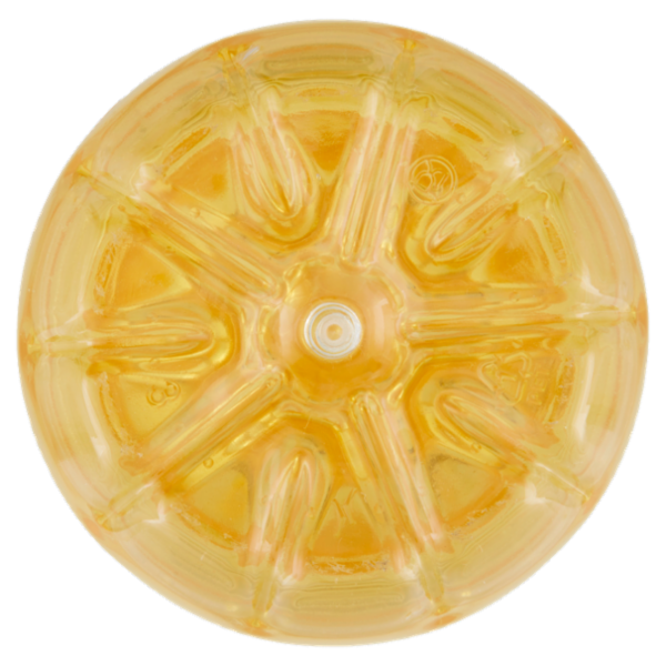 Sù Olio di Semi Vari 1 L