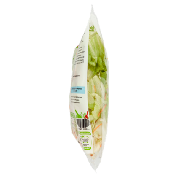DimmidiSì ... alla maxi insalata Iceberg e carote 500 g