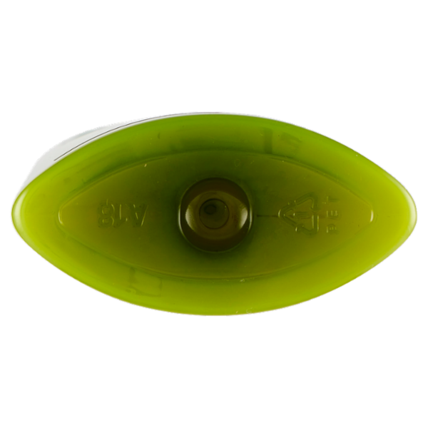 Garnier Shampoo Fructis Capelli Secchi & Sciupati 2in1, Capelli Nutriti e Brillanti, 250 ml