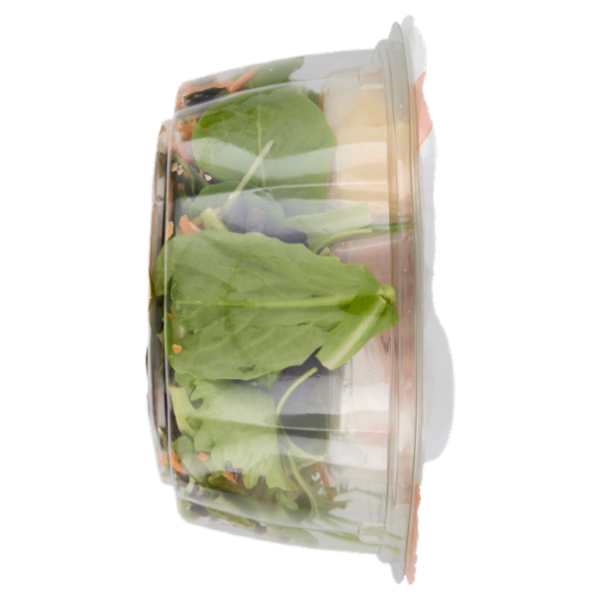 Bondulle Active Insalata, Pollo,