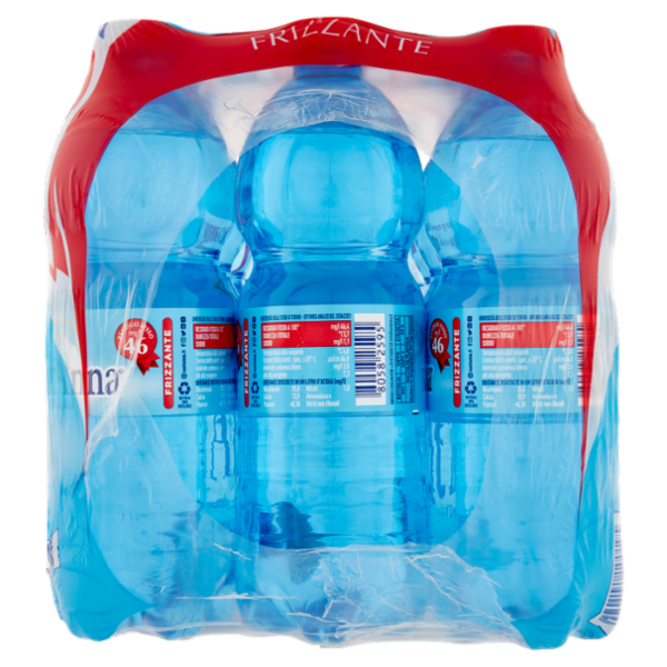 Sant'Anna di Vinadio Frizzante 12 x 0,5 L