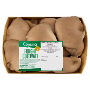 Consilia Funghi Pleurotus Coltivati Interi 300 g