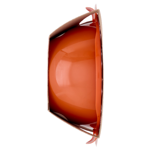 DimmidiSì Pappa al Pomodoro Monoporzione 350 g