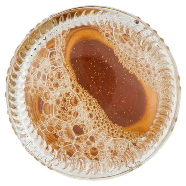 CORONA Extra - Birra lager messicana Bottiglia - Pacco Olimpiadi 33 cl