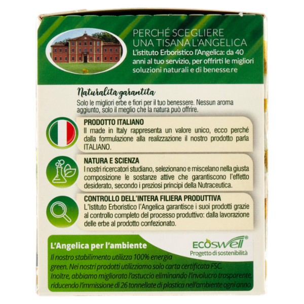 L'Angelica Le Tisane Della Sera Rilassante Active 18 Filtri 27,9 g