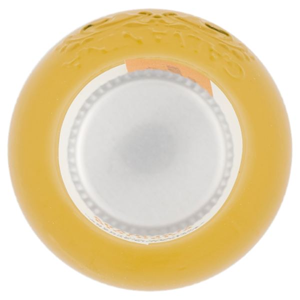 Galvanina Aranciata Biologica 355 ml