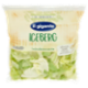 IL GIGANTE le Insalate Iceberg 200 g