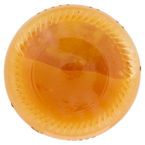 Terrae Passata di Pomodoro Giallo nichel free Biologico 420 g