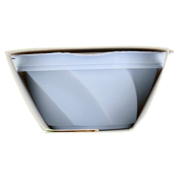 dolfin sensofreddo la Granita Siciliana gusto Menta Fresca 2 x 100 ml