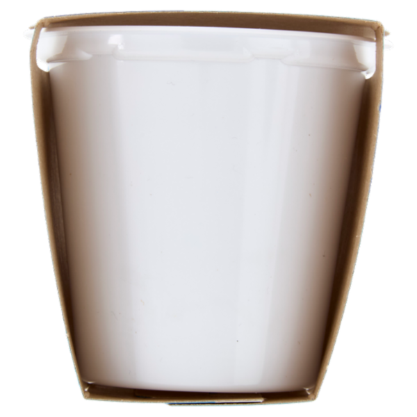 Selex Yogurt Magro Bianco 2x125 g