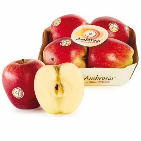 Mele Ambrosia Vassoio