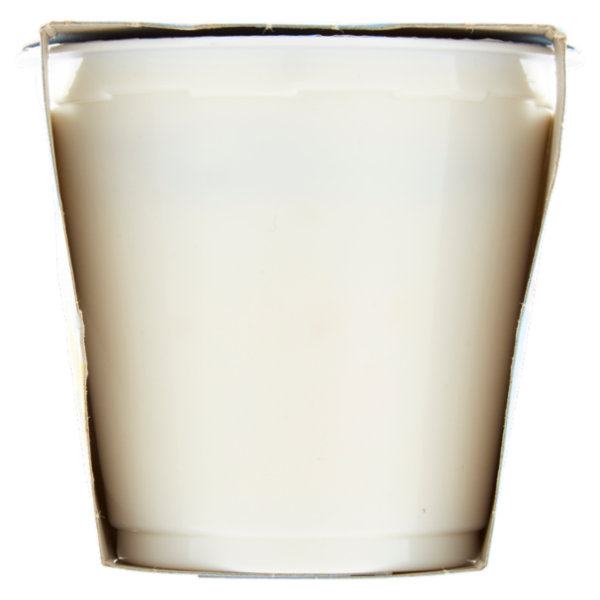 Selex Yogurt Magro Ananas 2x125 g