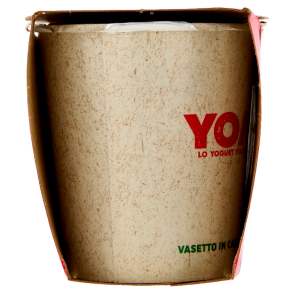 Yomo il Malto 2 x 125 g