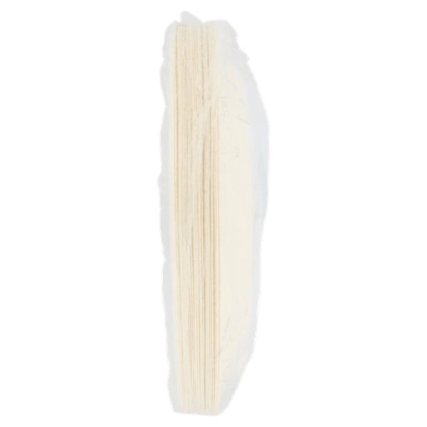 Biò Piatti Piani Ø23cm polpa di cellulosa 25 pz