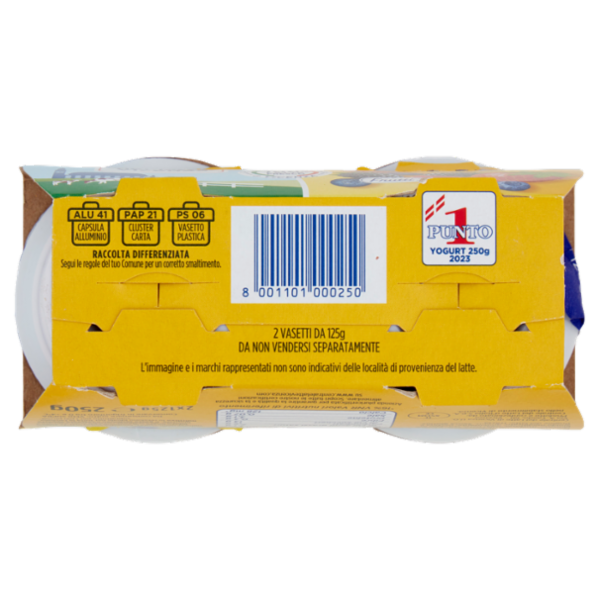 Centrale del latte Vicenza Yogurt Intero Frutta Frullata Frutti di Bosco 2 x 125 g