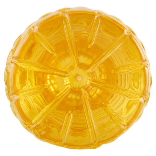 Sù Olio di Semi di Girasole 10 L