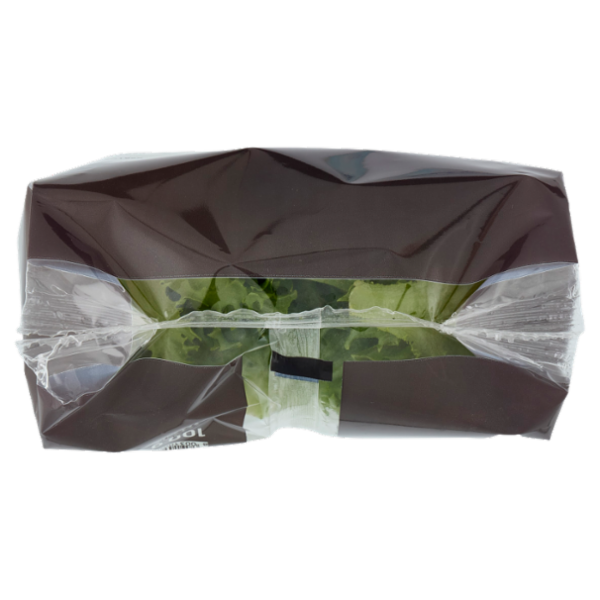 Selex Saper di Sapori Misticanza Lavata e Pronta per il Consumo 100 g