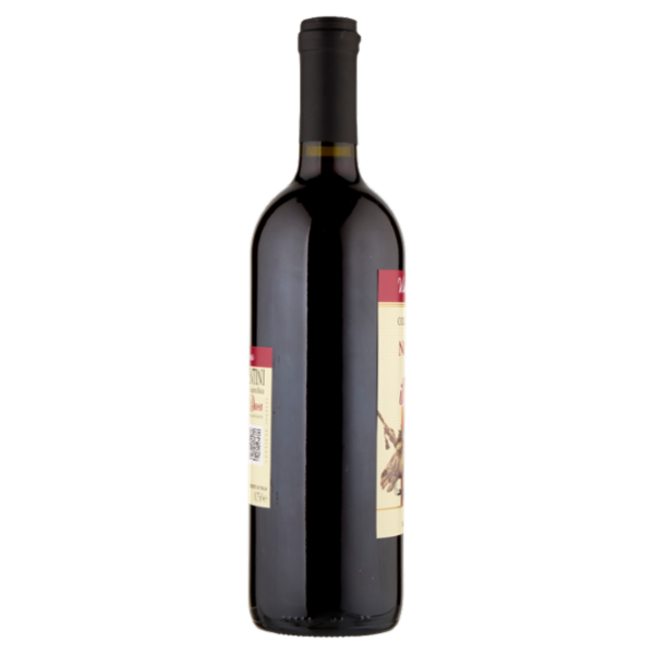 Cantina Valtidone Viti & Vini il Duca Colli Piacentini DOC Novello 0,75 l