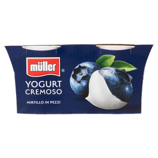 müller Yogurt Cremoso Mirtillo in Pezzi 2 x 125 g