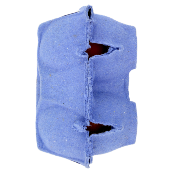 IL GIGANTE 6 Uova da allevamento a terra Uova Grandi