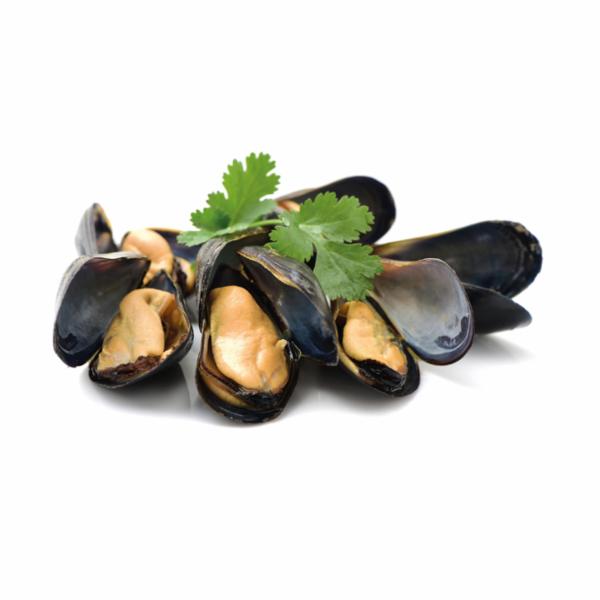 COZZE ITALIA