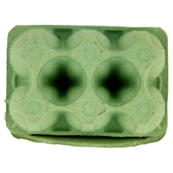 IL GIGANTE bio 6 Uova Fresche Biologiche di Vario Calibro 330 g