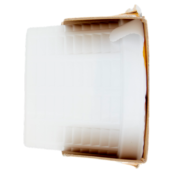 Consilia Ricotta Senza Lattosio 2x100 g