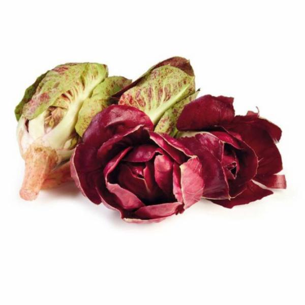 Cicoria Grumolo Pulito Capuli