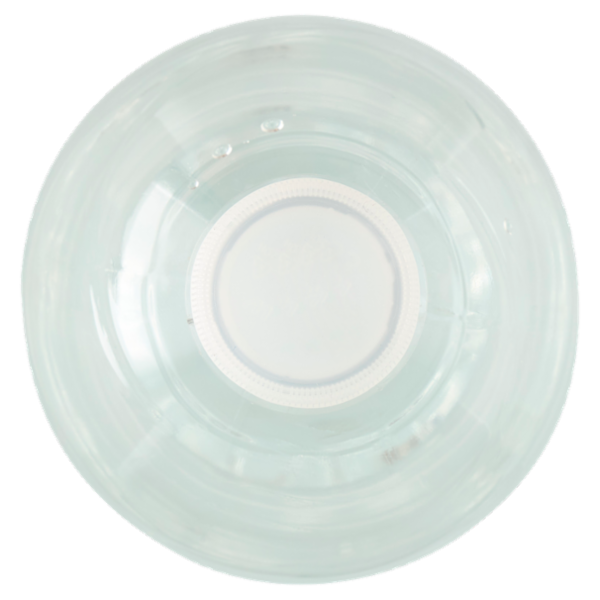 Fonte Elisa Frizzante 1,5 L