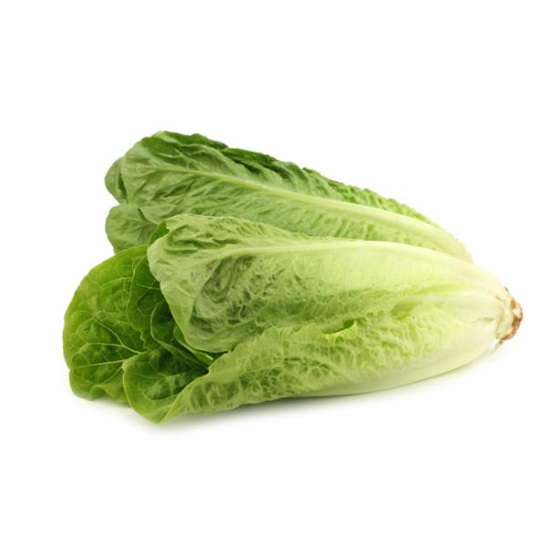 Lattuga Romana 280 g