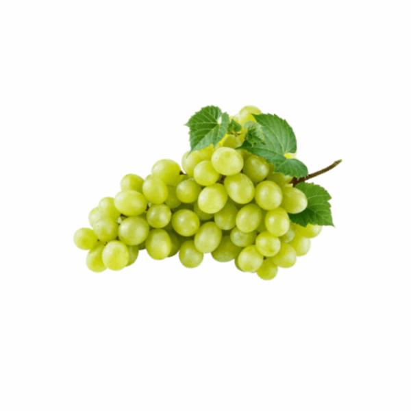 Uva Bianca Vittoria Italia