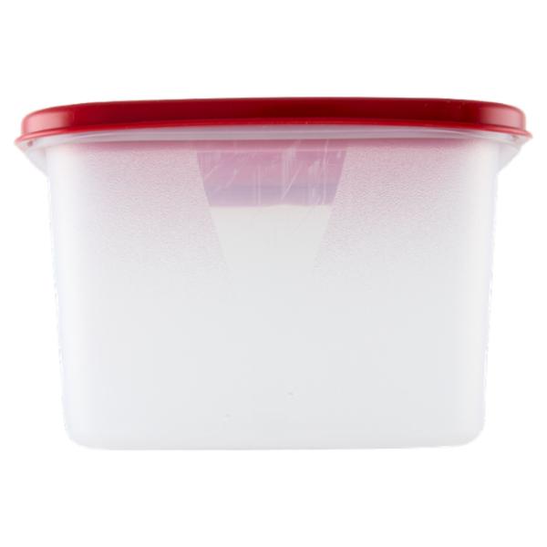 Selex Contenitore per Alimenti Freezer/Frigo Rettangolare 1,70 L