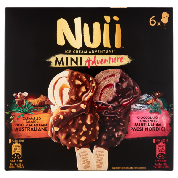 NUII Mini Adventure Caramello Salato e Noci Macadamia e Cioccolato Fondente e Mirtilli 6 Gelati 253g