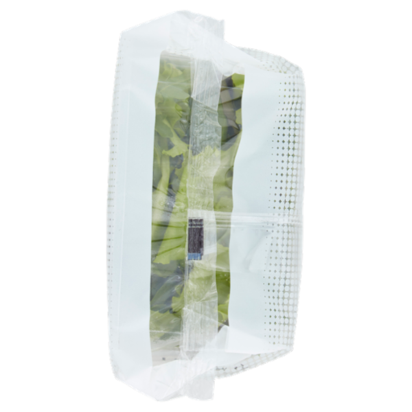 Insal'Arte Misticanza 100 g