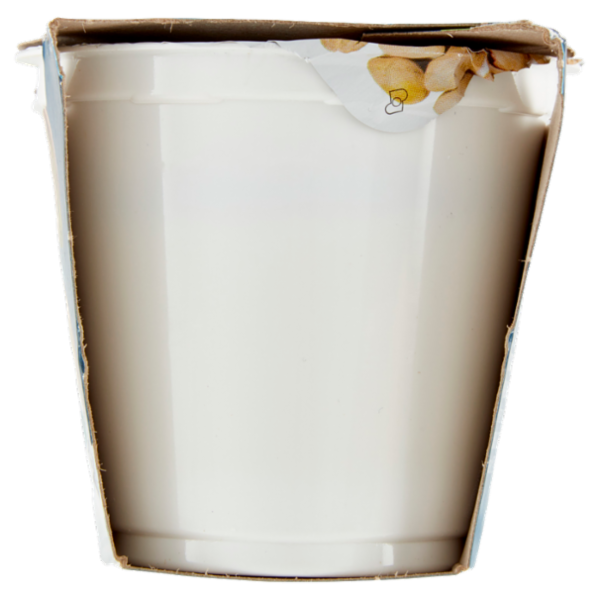 IL GIGANTE Yogurt Intero Pistacchio 2 x 125 g