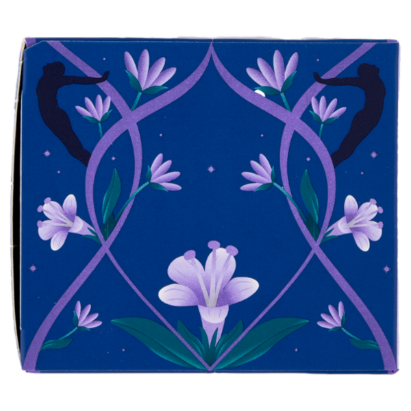 pukka night time Organic 20 Bustine di Miscela per Infuso 20 g