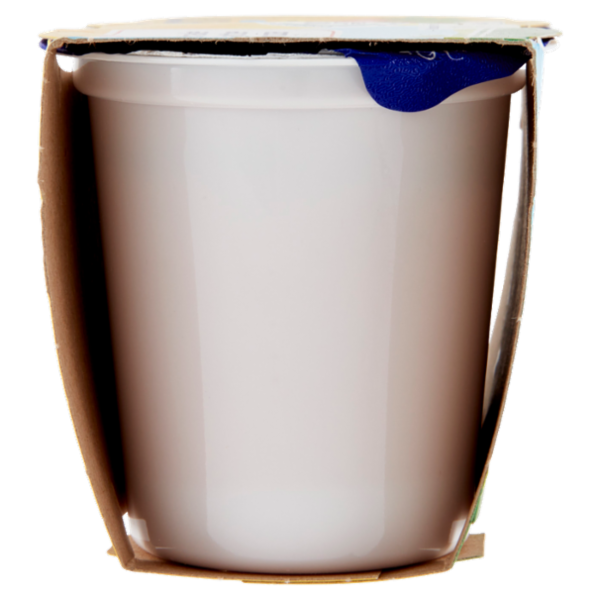 Centrale del latte Vicenza Yogurt Intero Frutta Frullata Fragola 2 x 125 g