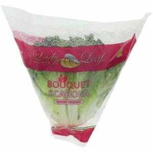 Insalata Scarola Novella Conf. 350g