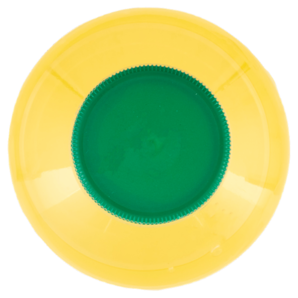 Energade Gusto Limone 0,5 L