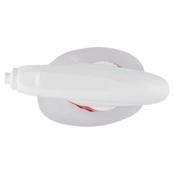 Bioform Plus disinfettante Detergente per la disinfezione della casa 650 ml