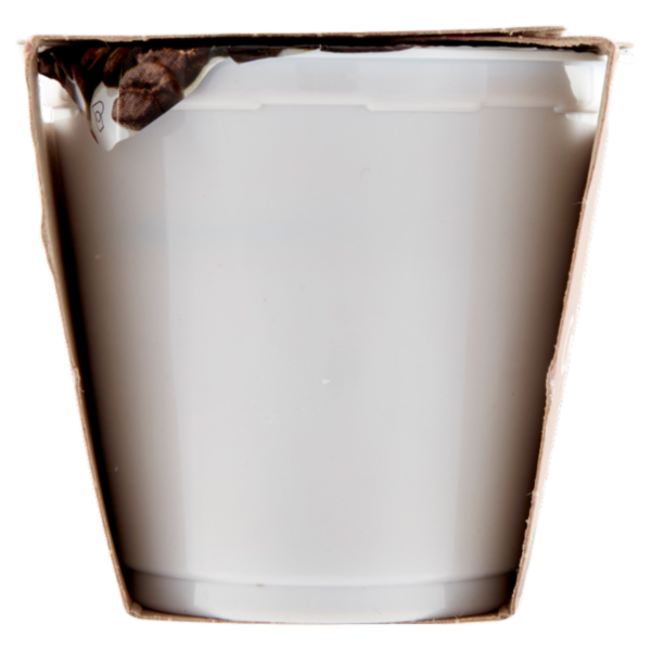Consilia Yogurt Intero Caffé 2x125 g