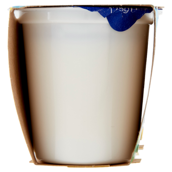 Centrale del latte Vicenza Yogurt Intero Bianco 2 x 125 g