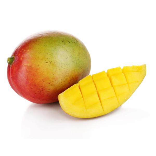 Mango G 380