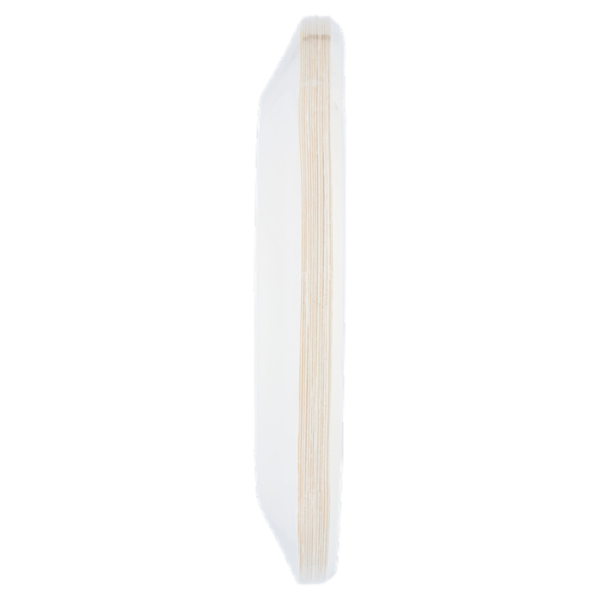 biologica Piatti Ø 23 cm 100% Biodegradabili e Compostabili 15 pz