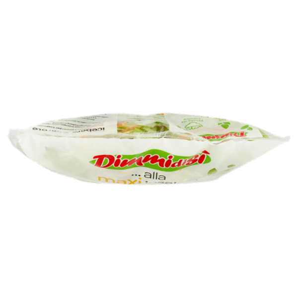 DimmidiSì ... alla maxi insalata Iceberg e carote 500 g